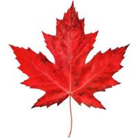 Олег Коротков