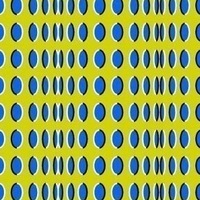 Аня Пономарева