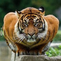 Евгения Загорулько