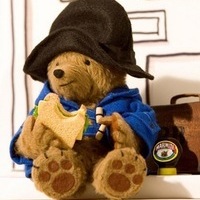 Никита Свистунов