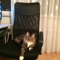 Анатолий Ковалёв