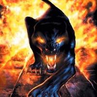 Ольга Широкова