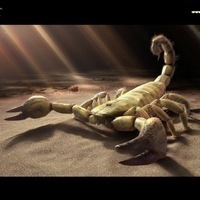 Денис Павлов