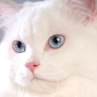 Виталий Мельников