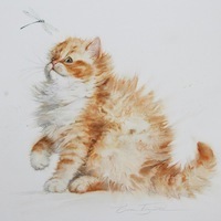 Женя Соболева