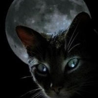 Екатерина Дацюк