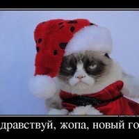 Александр Подлегаев