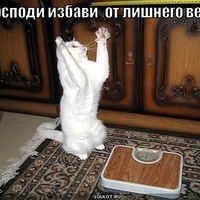 Татьяна Задонская