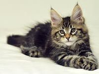 Бузанова Марина