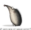 g8wq68cn2ddg9cq2ykt3tucpu8