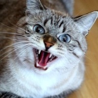 Кирилл Цыкун