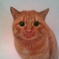 Сергей Никонов