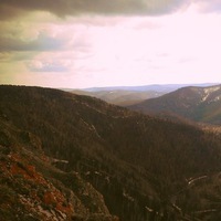 Николай Зыков