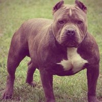 Владислав А.