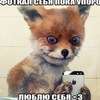 9c9tw1rnxu7uy456cy6pyj102c