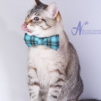 Березин Руслан