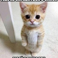 Тимофей Гавриленко