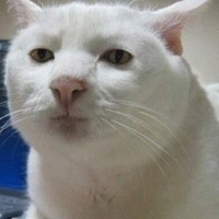 Анастасия Сапрыкина