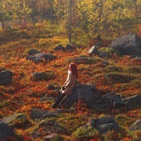 Мария Сотникова