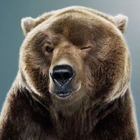 Дмитрий Сухарев