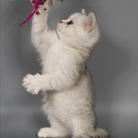 Маргарита К.