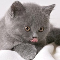 Ольга Морозова