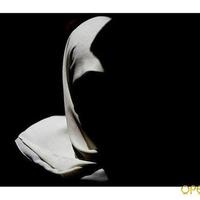 Елена Холмо