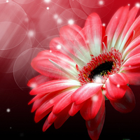 Екатерина ***