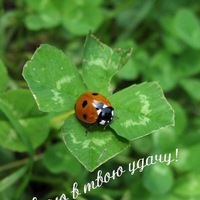 Агентство К.