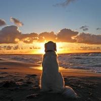 Светлана Ивашкина