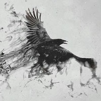 Дарья Давыдова