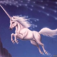 Дмитрий Юрьевич Плющев