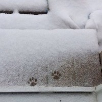 Кузнецова К.