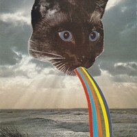 Николай Пилюшов