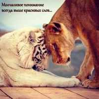 Светлана Б.