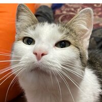 Ольга Дружиненко