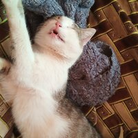 Светлана Ульяхина