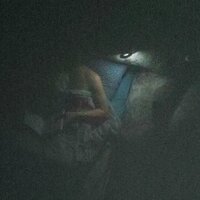 Анастасия Колосова