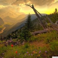 Пользователь Б.