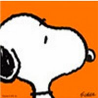 Александр Куликов