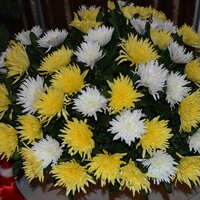 Ольга Владимировна