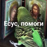 Софья Нагимова