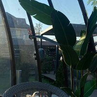 Лиза Владычкина