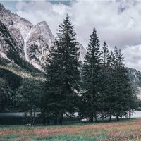 Константин Ермилов