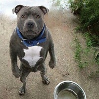 Марсель Бикбавлеев