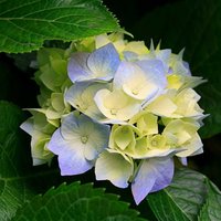 Буяхаева Елена