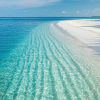 Ольга Михайловна