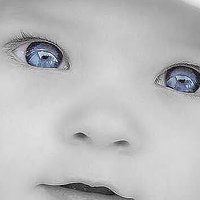 Виталий Волков