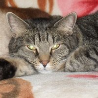 олег якушев