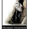 7wtg81qdmj7cpmrvqvpazbj01r
